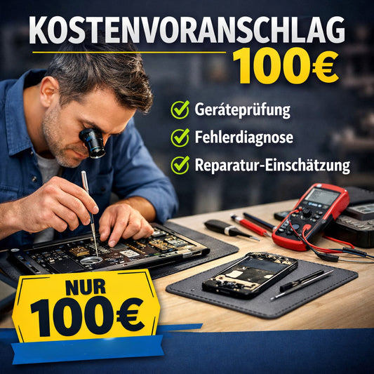 Reparatur-Analyse Kostenvoranschlag